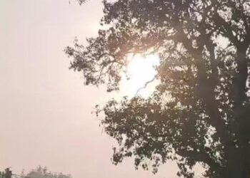 हरियाणा में ठंड तोड़ सकती 15 साल का रिकॉर्ड: अक्टूबर में ही 16 डिग्री पहुंचा तापमान