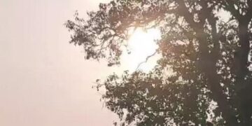 हरियाणा में ठंड तोड़ सकती 15 साल का रिकॉर्ड: अक्टूबर में ही 16 डिग्री पहुंचा तापमान