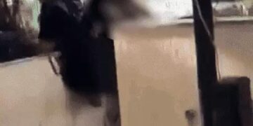 फरीदाबाद में स्कूलों में ‘लव जिहाद’ लेटर पर बवाल: शिक्षा विभाग ने आदेश वापस लिया