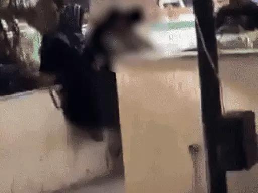 फरीदाबाद में स्कूलों में ‘लव जिहाद’ लेटर पर बवाल: शिक्षा विभाग ने आदेश वापस लिया