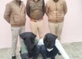 टोहाना में करोड़ों की हेरोइन पकड़ी: दो तस्कर गिरफ्तार, सुनसान जगह स्कूल के पास खड़े थे दोनों