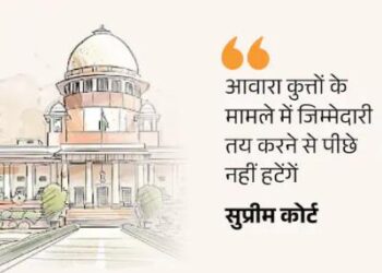 आवारा कुत्तों पर सुप्रीम कोर्ट बोला- हमारी टिप्पणियां मजाक नहीं: मौत मामले में डॉग फीडर्स भी जिम्मेदार