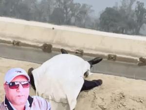 अकाउंटेंट ने नहर में कूदकर सुसाइड किया: यमुनानगर में छलांग लगाने से पहले पत्नी को वीडियो कॉल की, बोला- कूद रहा हूं