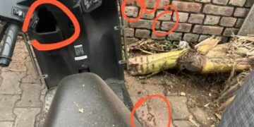 चंडीगढ़ में BJP दफ्तर के बाहर ब्लास्ट: गाड़ी के शीशे टूटे, संदिग्ध स्कूटी दिखी, इलाका सील, ऑफिस वाली रोड बंद