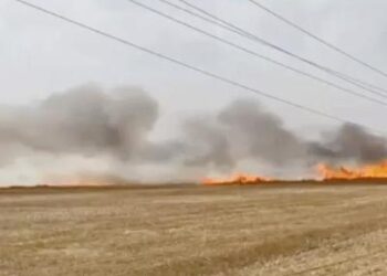 पंजाब-चंडीगढ़ में अगले 7 दिन मौसम ड्राई रहने की संभावना: बादलों की वजह से तापमान में 2.3 डिग्री की गिरावट, फरीदकोट दिन में सबसे गर्म