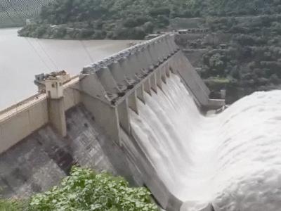 BBMB मामले में पंजाब सरकार की याचिका खारिज: हाईकोर्ट ने कहा- केंद्र सरकार के समक्ष अपनी बात रखें, पिछले साल दाखिल की थी