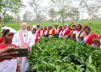 मोदी ने असम में चाय बागान में पत्ती तोड़ी: काम करने वाली महिलाओं के साथ सेल्फी खिंचाई