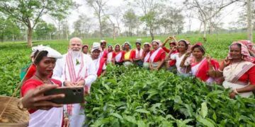 मोदी ने असम में चाय बागान में पत्ती तोड़ी: काम करने वाली महिलाओं के साथ सेल्फी खिंचाई