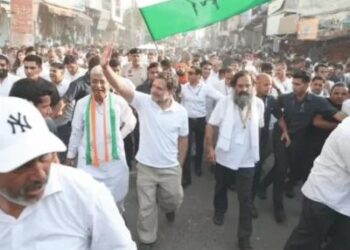 राहुल गांधी का हरियाणा कांग्रेस नेताओं को इंडायरेक्ट मैसेज: सड़क पर संघर्ष करने वालों को ही मिलेगा मौका, एक्सपर्ट बोले- पार्टी में खींचतान सामने आई