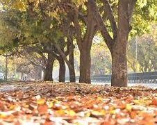 पंजाब-चंडीगढ़ में 6 दिन हीटवेव का अलर्ट: टेंपरेचर 43 डिग्री पार, बारिश के नहीं आसार, बिजली की डिमांड 10738 मेगावाट पर पहुंची