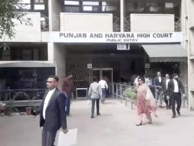 चंडीगढ़ सरकारी स्कूलों में RTE मानकों की जांच करेगा हाईकोर्ट: 29 जुलाई तक मांगा स्कूलवार हलफनामा, दिसंबर तक 500 शिक्षकों की भर्ती का दावा